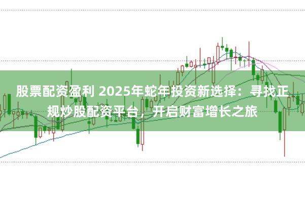 股票配资盈利 2025年蛇年投资新选择：寻找正规炒股配资平台，开启财富增长之旅