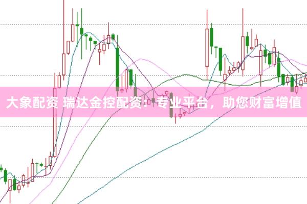 大象配资 瑞达金控配资：专业平台，助您财富增值