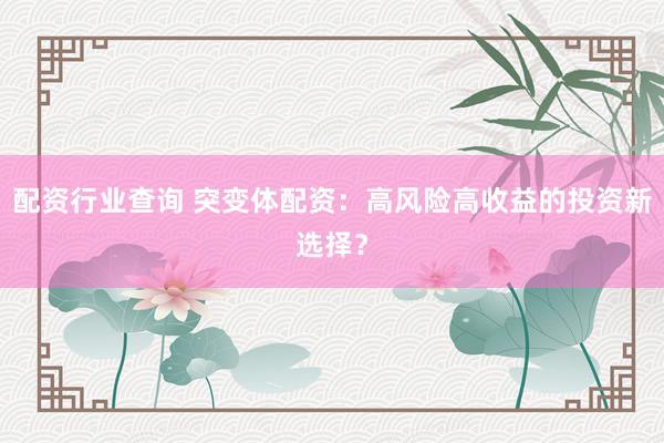 配资行业查询 突变体配资：高风险高收益的投资新选择？