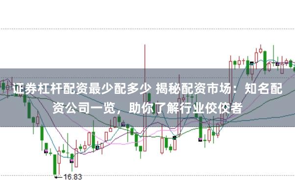 证券杠杆配资最少配多少 揭秘配资市场：知名配资公司一览，助你了解行业佼佼者
