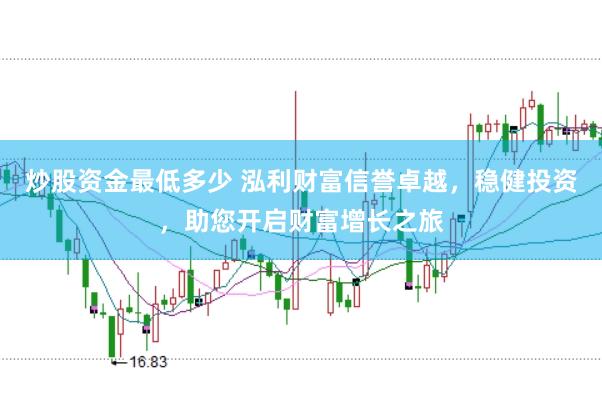 炒股资金最低多少 泓利财富信誉卓越，稳健投资，助您开启财富增长之旅