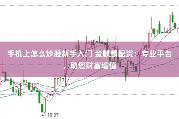 手机上怎么炒股新手入门 金麒麟配资：专业平台，助您财富增值
