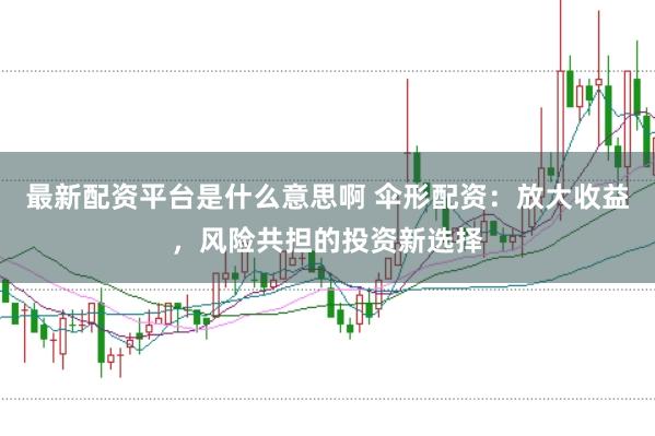 最新配资平台是什么意思啊 伞形配资：放大收益，风险共担的投资新选择
