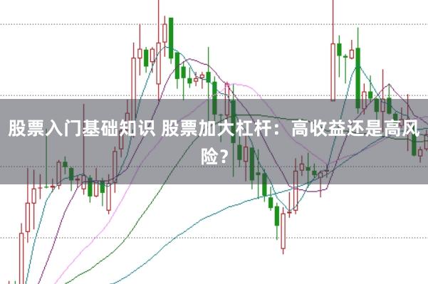 股票入门基础知识 股票加大杠杆：高收益还是高风险？