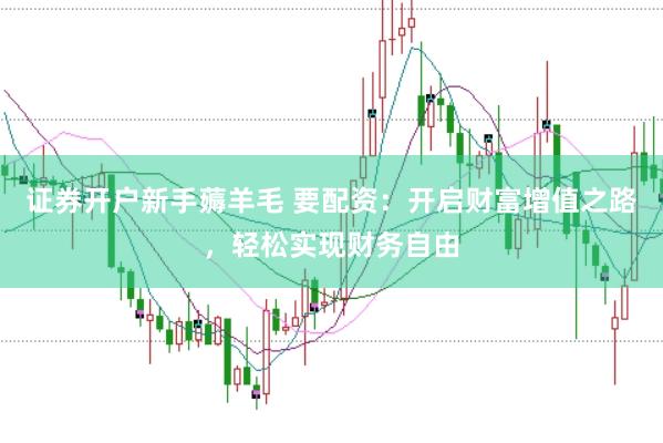 证券开户新手薅羊毛 要配资：开启财富增值之路，轻松实现财务自由
