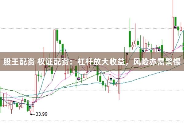 股王配资 权证配资：杠杆放大收益，风险亦需警惕