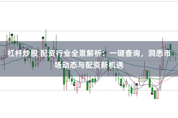 杠杆炒股 配资行业全景解析：一键查询，洞悉市场动态与配资新机遇