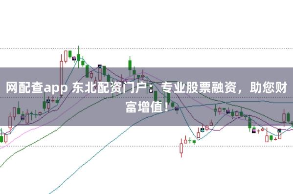 网配查app 东北配资门户：专业股票融资，助您财富增值！