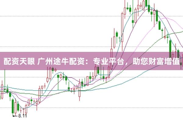 配资天眼 广州途牛配资：专业平台，助您财富增值