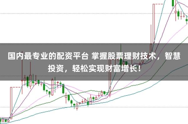 国内最专业的配资平台 掌握股票理财技术,智慧投资,轻松实现财富增长!