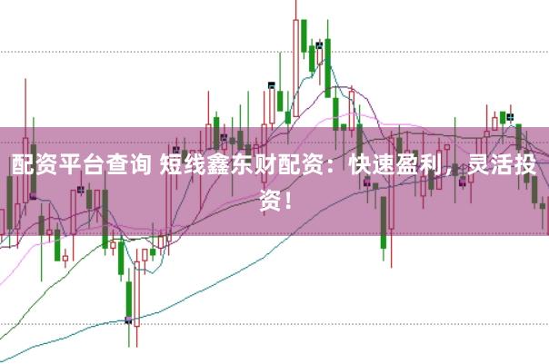 配资平台查询 短线鑫东财配资：快速盈利，灵活投资！