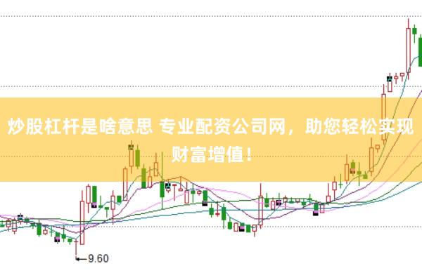 炒股杠杆是啥意思 专业配资公司网,助您轻松实现财富增值!