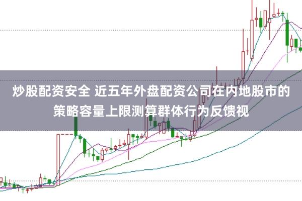 炒股配资安全 近五年外盘配资公司在内地股市的策略容量上限测算群体行为反馈视