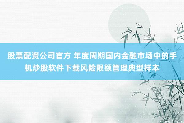 股票配资公司官方 年度周期国内金融市场中的手机炒股软件下载风险限额管理典型样本