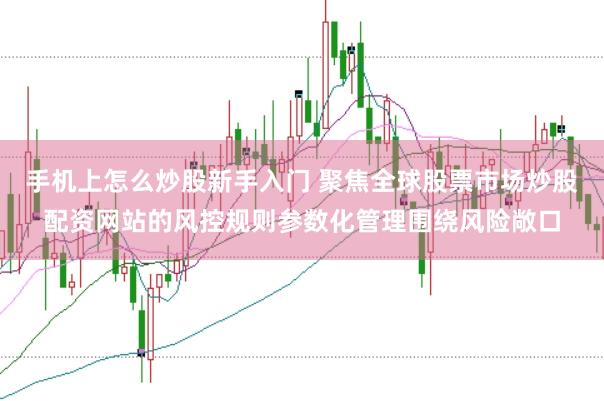 手机上怎么炒股新手入门 聚焦全球股票市场炒股配资网站的风控规则参数化管理围绕风险敞口