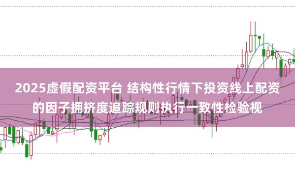 2025虚假配资平台 结构性行情下投资线上配资的因子拥挤度追踪规则执行一致性检验视
