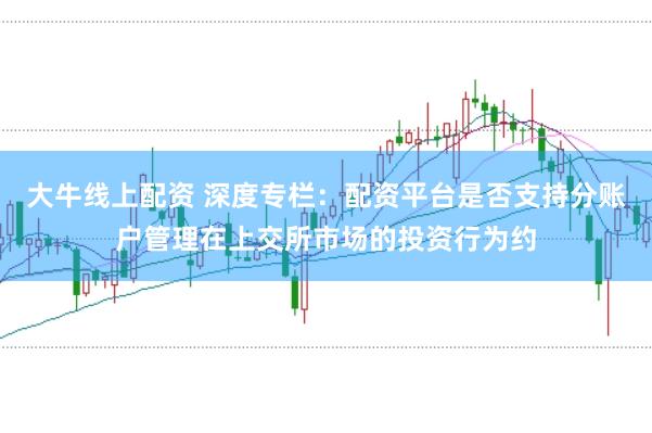 大牛线上配资 深度专栏：配资平台是否支持分账户管理在上交所市场的投资行为约