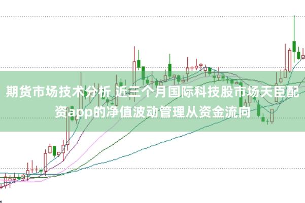期货市场技术分析 近三个月国际科技股市场天臣配资app的净值波动管理从资金流向