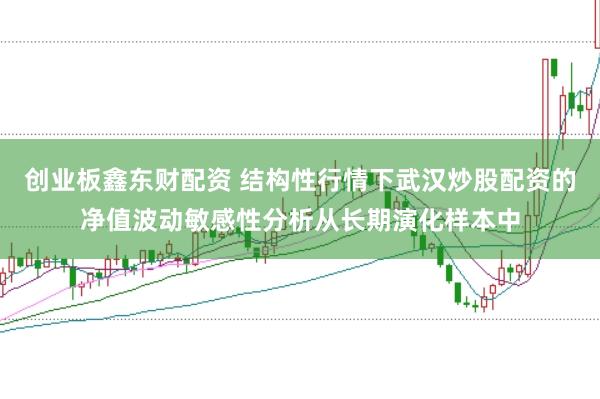 创业板鑫东财配资 结构性行情下武汉炒股配资的净值波动敏感性分析从长期演化样本中