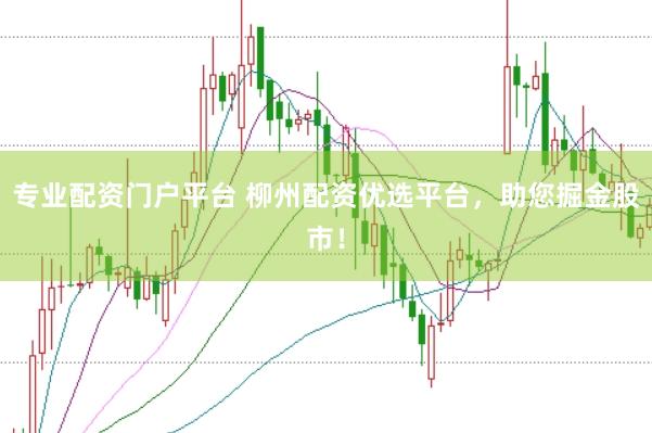 专业配资门户平台 柳州配资优选平台,助您掘金股市!