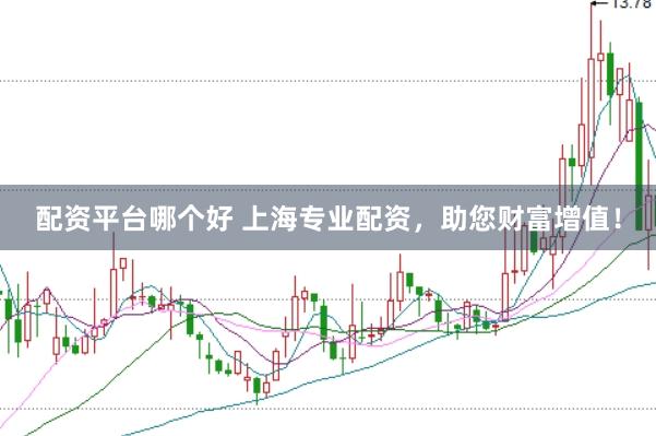 配资平台哪个好 上海专业配资,助您财富增值!