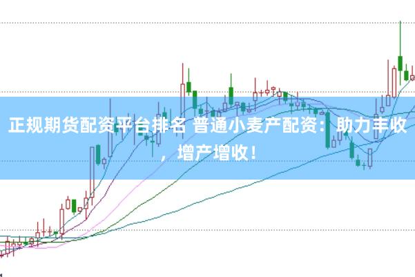 正规期货配资平台排名 普通小麦产配资:助力丰收,增产增收!
