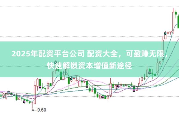 2025年配资平台公司 配资大全，可盈赚无限，快速解锁资本增值新途径