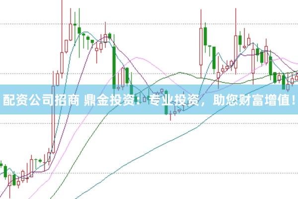 配资公司招商 鼎金投资：专业投资，助您财富增值！