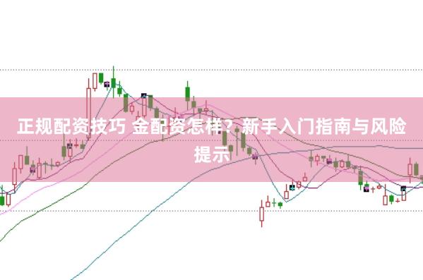 正规配资技巧 金配资怎样？新手入门指南与风险提示