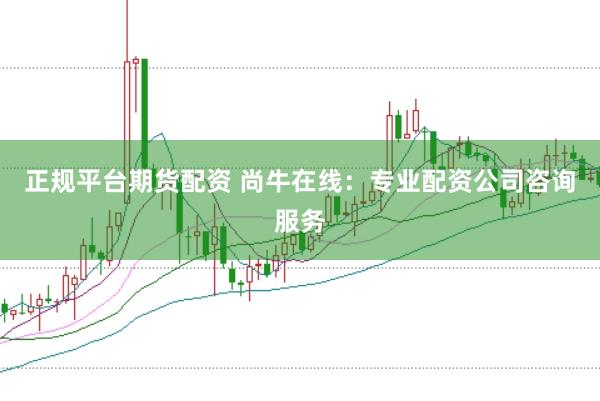 正规平台期货配资 尚牛在线：专业配资公司咨询服务