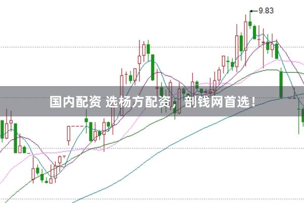国内配资 选杨方配资，剖钱网首选！