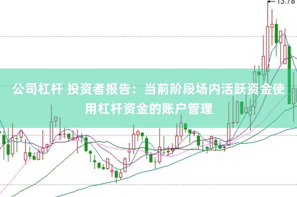 公司杠杆 投资者报告：当前阶段场内活跃资金使用杠杆资金的账户管理